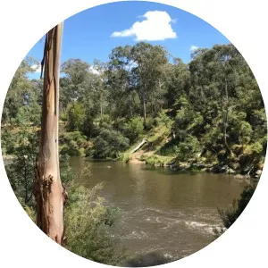 Warrandyte State Park - 