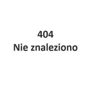 Warszawscy Stompersi