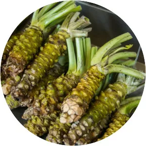 Wasabi