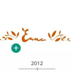 Waschbär Umweltversand