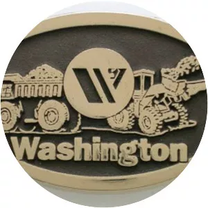 Washington Group International