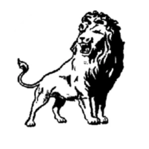 Washington Lions