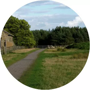 Waskerley railway station - 