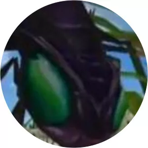 Wasp Leader - Fictional character