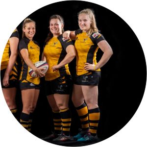 Wasps Ladies