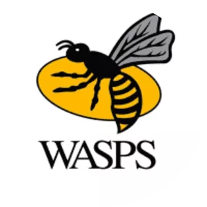 Wasps RFC