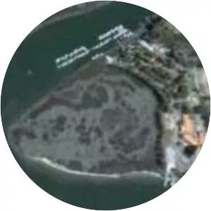 Wassaw Sound - Bay in Georgia