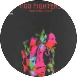 Wasting Light - Studio album by Foo Fighters
