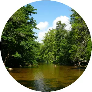 Watauga River - 