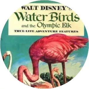 Water Birds - 1952 ‧ Short/Documentary ‧ 30 mins