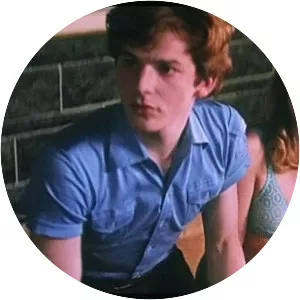 Water Drops on Burning Rocks