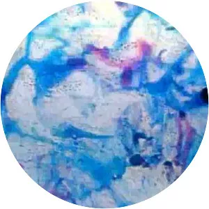 Water for Maya - Film