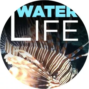 Water LifeSince 2009