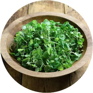 Watercress