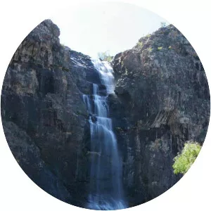 Waterfall Creek Falls