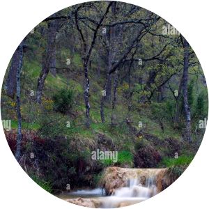 Waterfall Mea Quintanilla Valdebodres