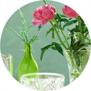 Waterford Crystal: Melissa's Picks - TV program