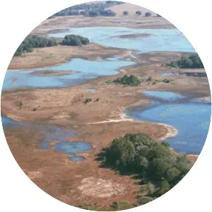 Watermelon Pond - Pond in Florida