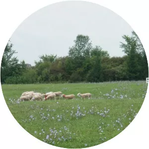 Waupoos Island, Ontario