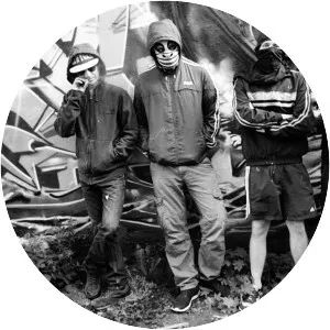 Waving the Guns - Musical group