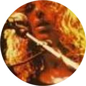 Wayne Darley - Musician