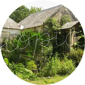 wayne jarrett itopia