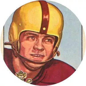 Wayne Robinson - American football player