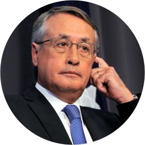 Wayne Swan
