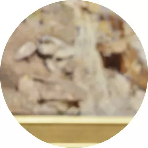 Wayne Tonnicliffe - Author