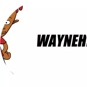 Waynehead