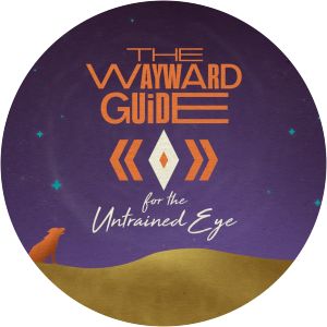 Wayward Guide for the Untrained Eye - 2020 ‧ Horror ‧ 1 season