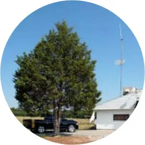 WCVL - Radio station