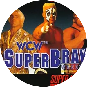 WCW SuperBrawl Wrestling