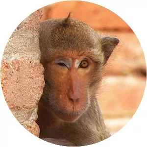 We're Talking Animals - TV program