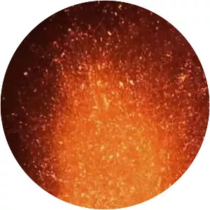 Weather Top Ten - TV program