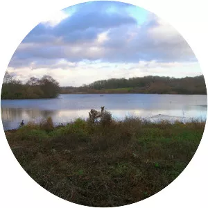 Weir Wood Reservoir - Water body