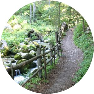 Weißbach Nature Park Weißbach bei Lofer