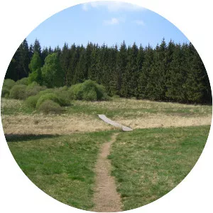 Weißer Stein (Weißer Stein City)