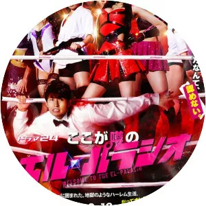 Welcome to the El-Palacio