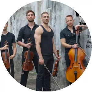 Well Strung - Musical quartet