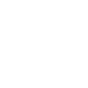 Wellesley Symphony Orchestra - 