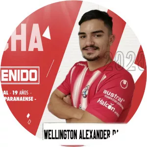 Welligton Alexander da Rocha