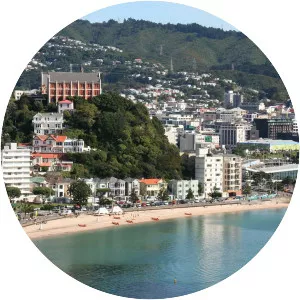 Wellington Harbour - 