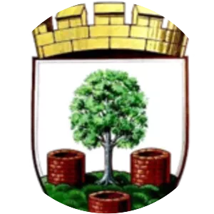 Wells City Football Club