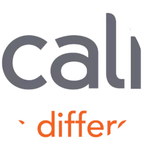 Welocalize - Company