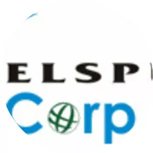 Welspun Corp - Company