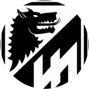 Werwolf Musician - Musician