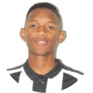 Wesley Junio da Silva Araújo