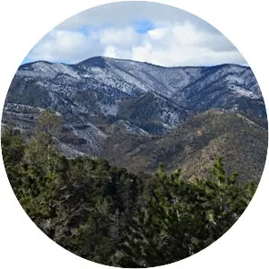 West Blue Mountain - Peak in New Mexico