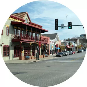 West Dickson Street - 